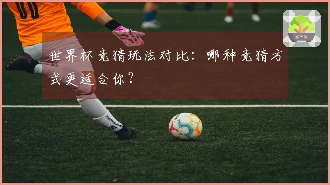 世界杯竞猜玩法对比：哪种竞猜方式更适合你？
