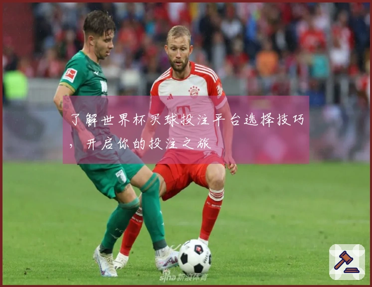 了解世界杯买球投注平台选择技巧，开启你的投注之旅