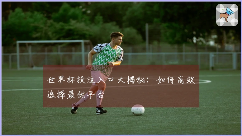 世界杯投注入口大揭秘：如何高效选择最优平台