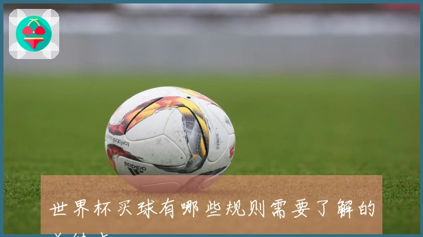 世界杯买球有哪些规则需要了解的关键点