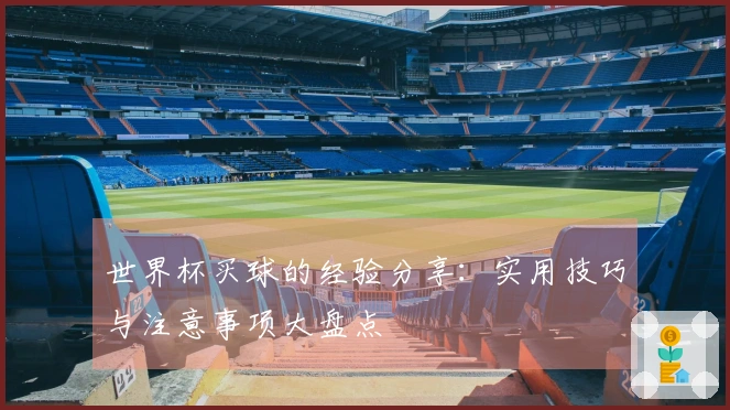 世界杯买球的经验分享：实用技巧与注意事项大盘点
