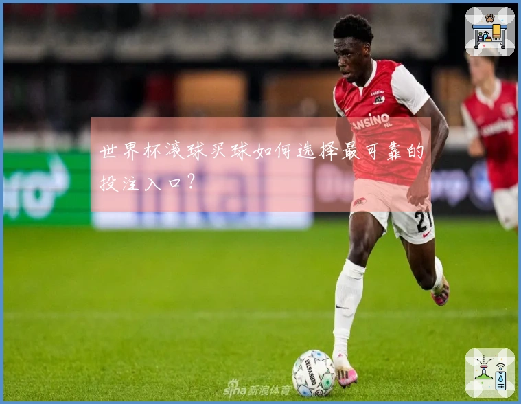 世界杯滚球买球如何选择最可靠的投注入口？