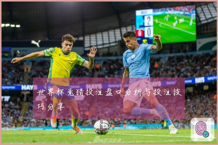 世界杯竞猜投注盘口分析与投注技巧分享