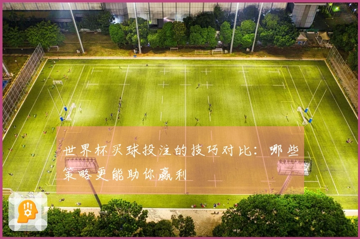 世界杯买球投注的技巧对比：哪些策略更能助你赢利