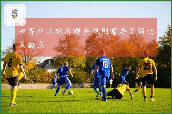 世界杯买球有哪些规则需要了解的关键点