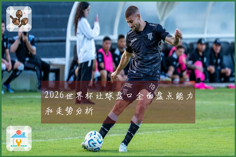 2026世界杯让球盘口全面盘点能力和走势分析