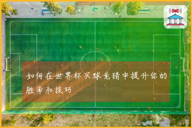 如何在世界杯买球竞猜中提升你的胜率和技巧