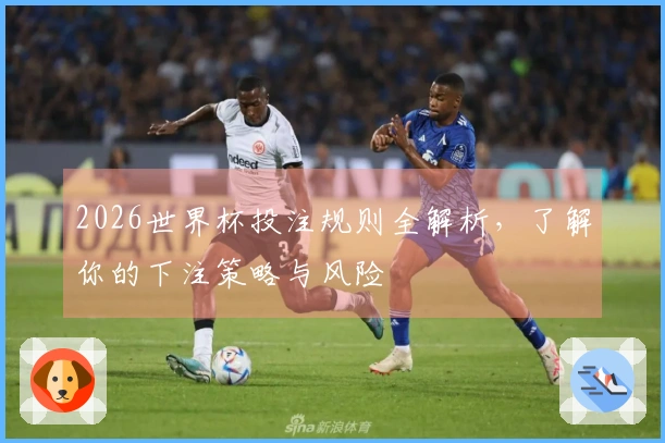 2026世界杯投注规则全解析，了解你的下注策略与风险