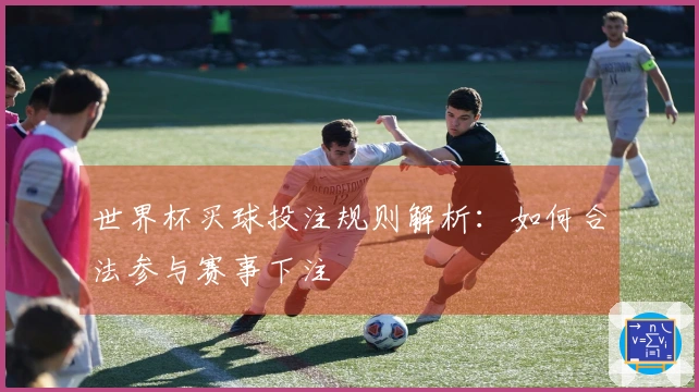 世界杯买球投注规则解析：如何合法参与赛事下注