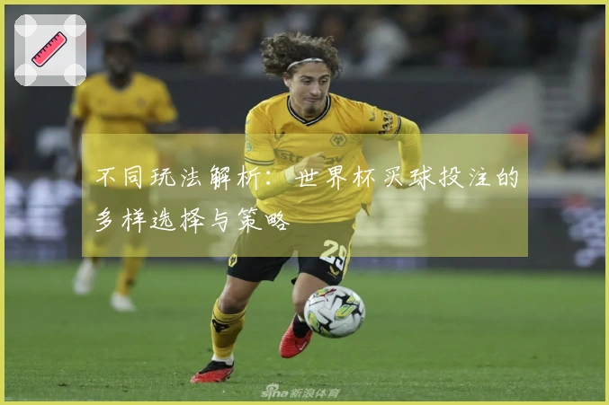 不同玩法解析：世界杯买球投注的多样选择与策略